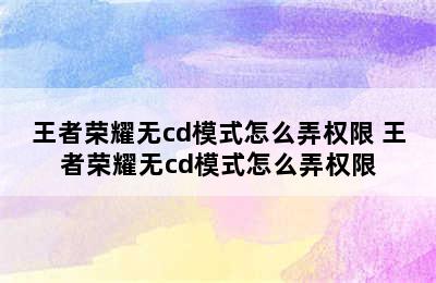 王者荣耀无cd模式怎么弄权限 王者荣耀无cd模式怎么弄权限